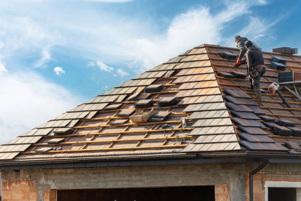 Best Roof Moss and Algae Removal  in Starkville, MS